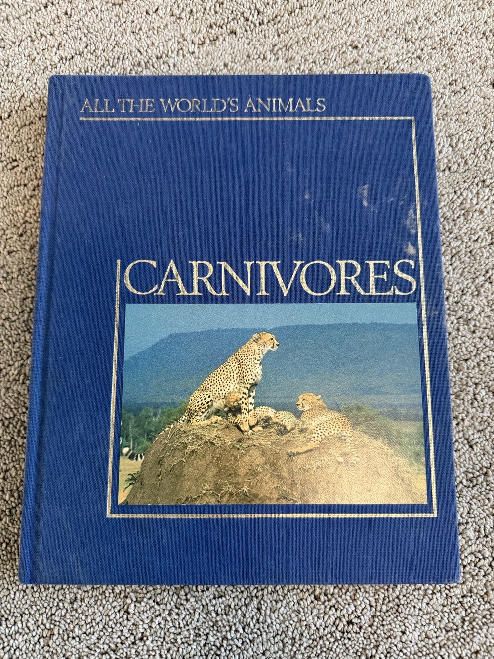 All the World’s Animals: Carnivores – Hardcover Wildlife Reference Book